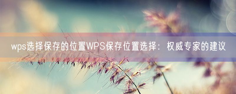 <strong>wps选择保存的位置WPS保存位置选择：权威专家的建议</strong>