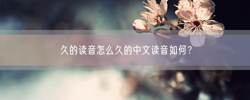 久的读音怎么久的中文读音如何？