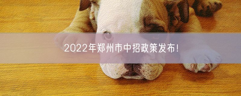 2022年郑州市中招政策发布！